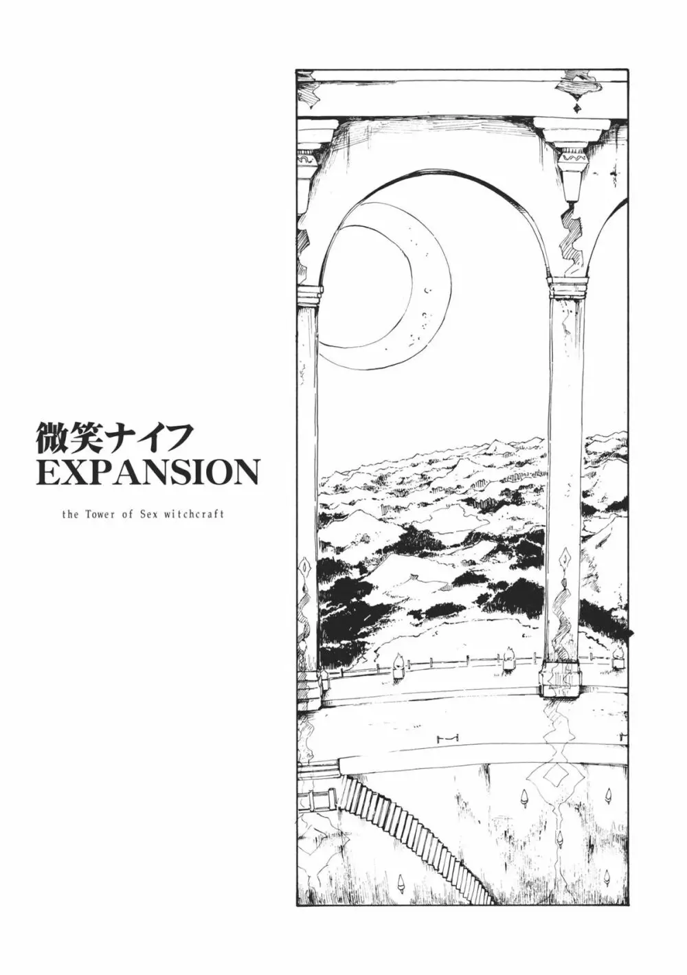 東方浮世絵巻 微笑ナイフEXPANSION 3ページ