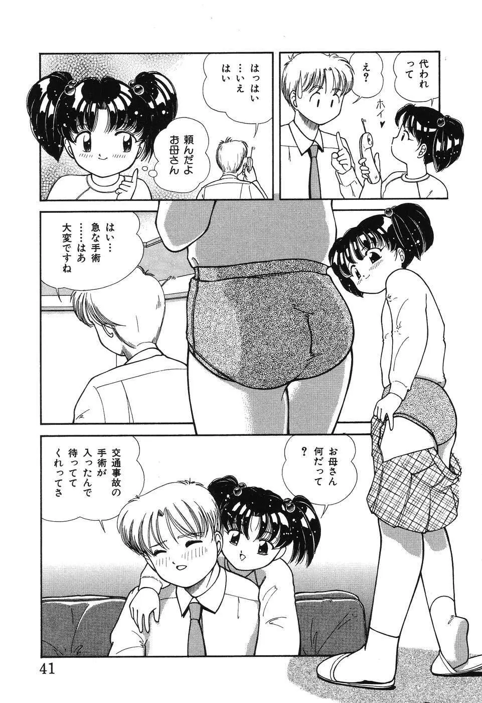 幕の内少女弁当 43ページ