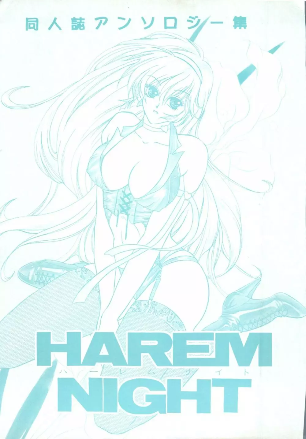 Harem Night 2ページ