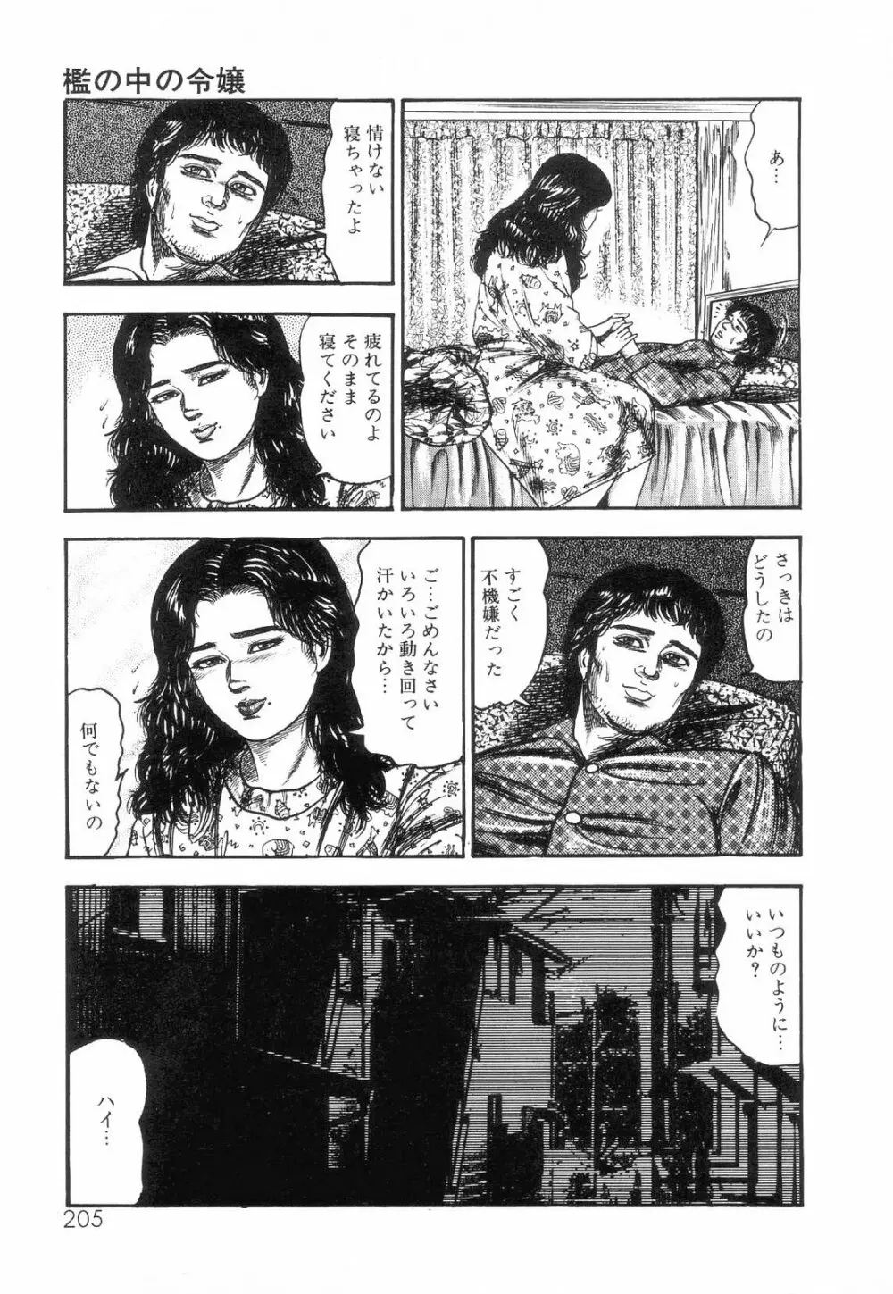 白の黙示録 第2巻 詩音凌辱の章 207ページ