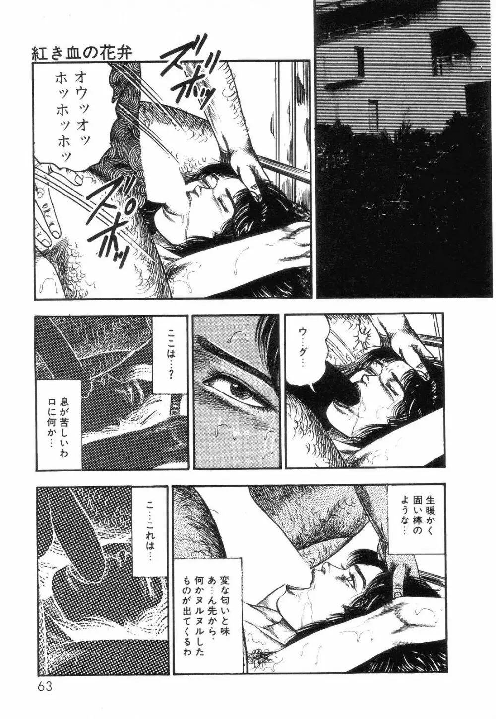 白の黙示録 第2巻 詩音凌辱の章 65ページ