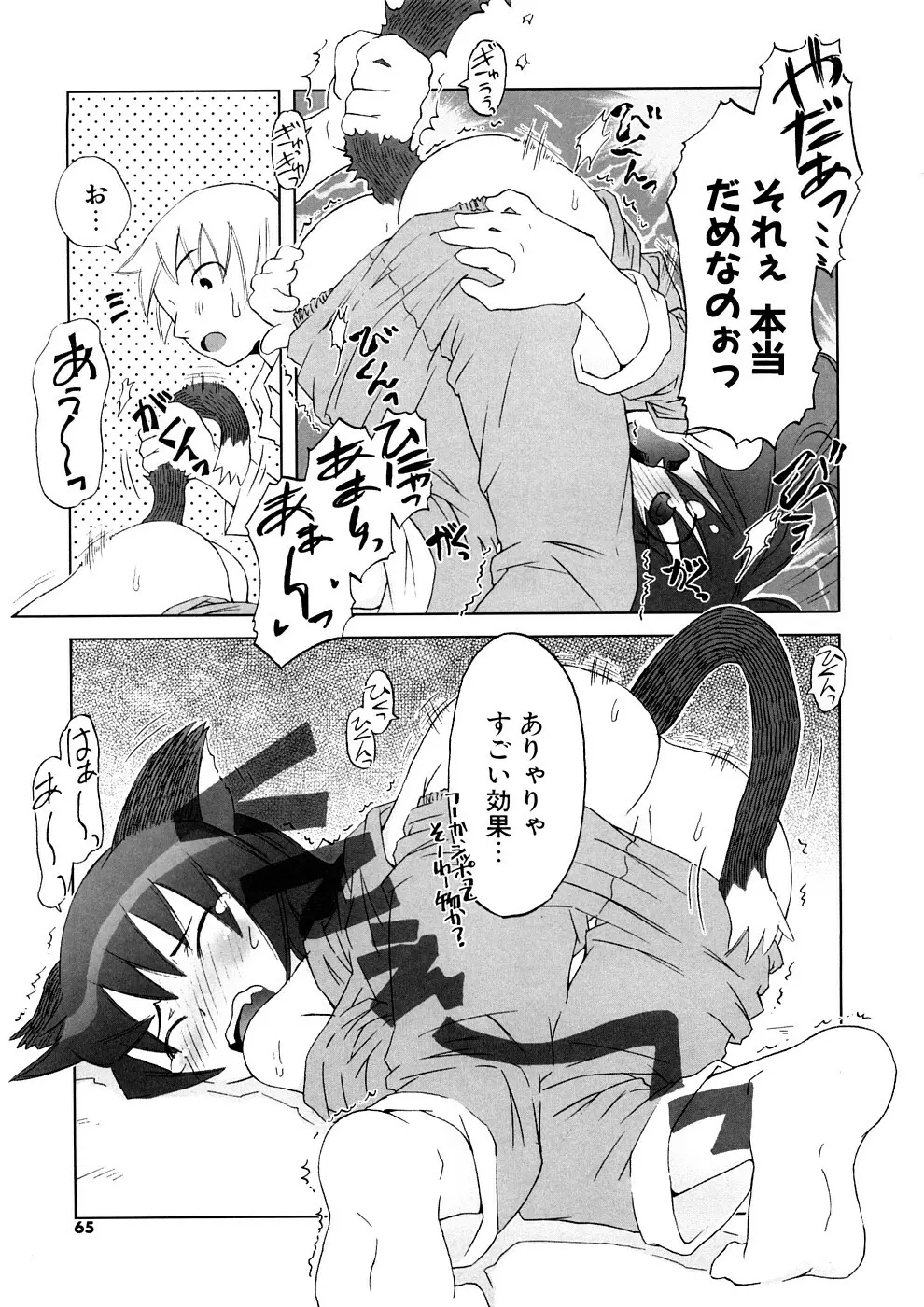 小悪魔と仔羊と子猫たち 新装版 65ページ