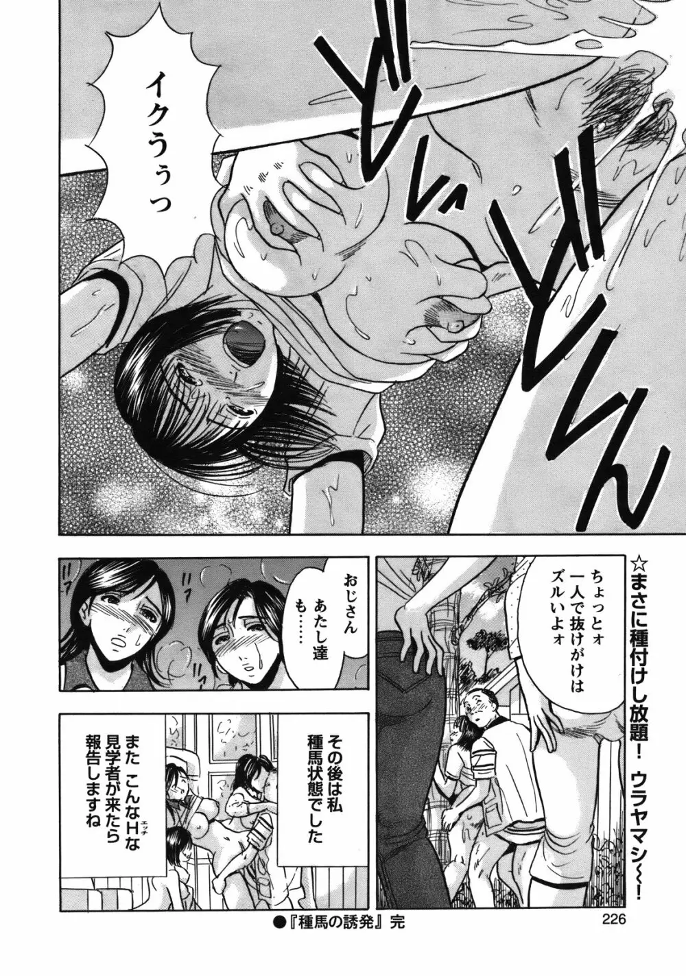 COMIC バズーカ 2012年01月号 225ページ