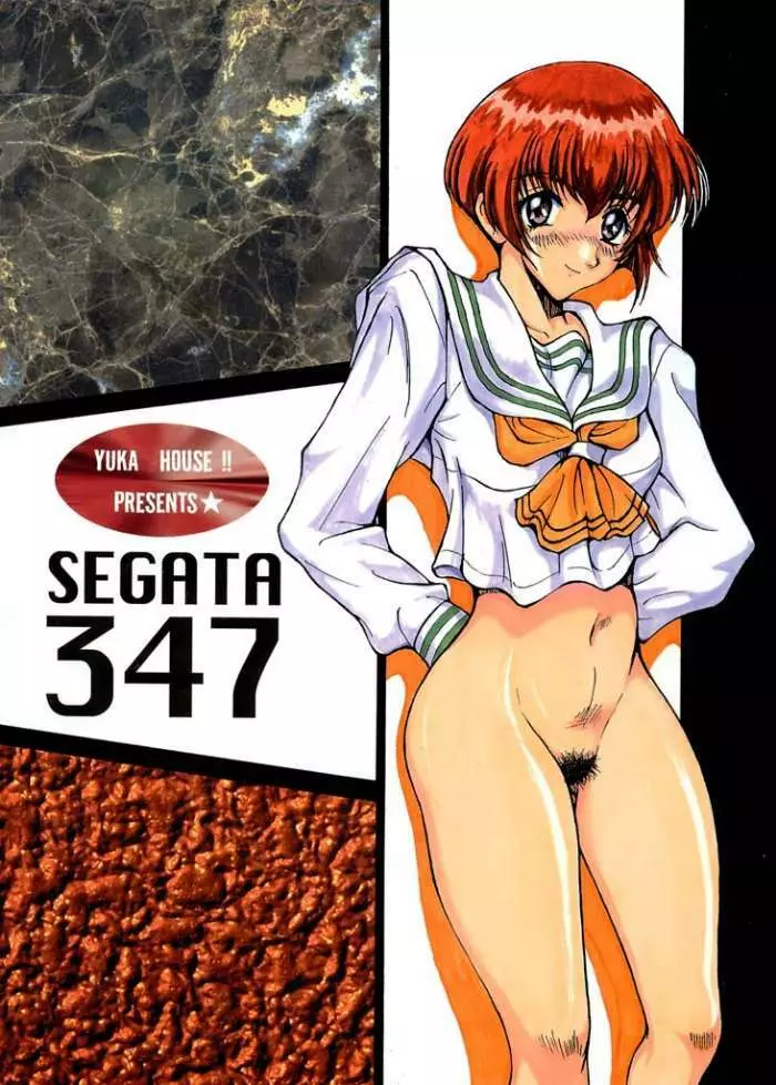 SEGATA 347 18ページ