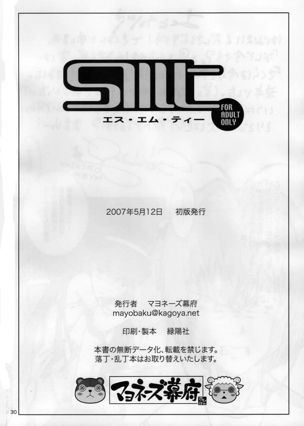 SMT 29ページ