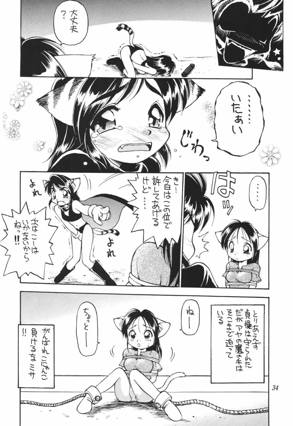 常夏ねこ日記 35ページ