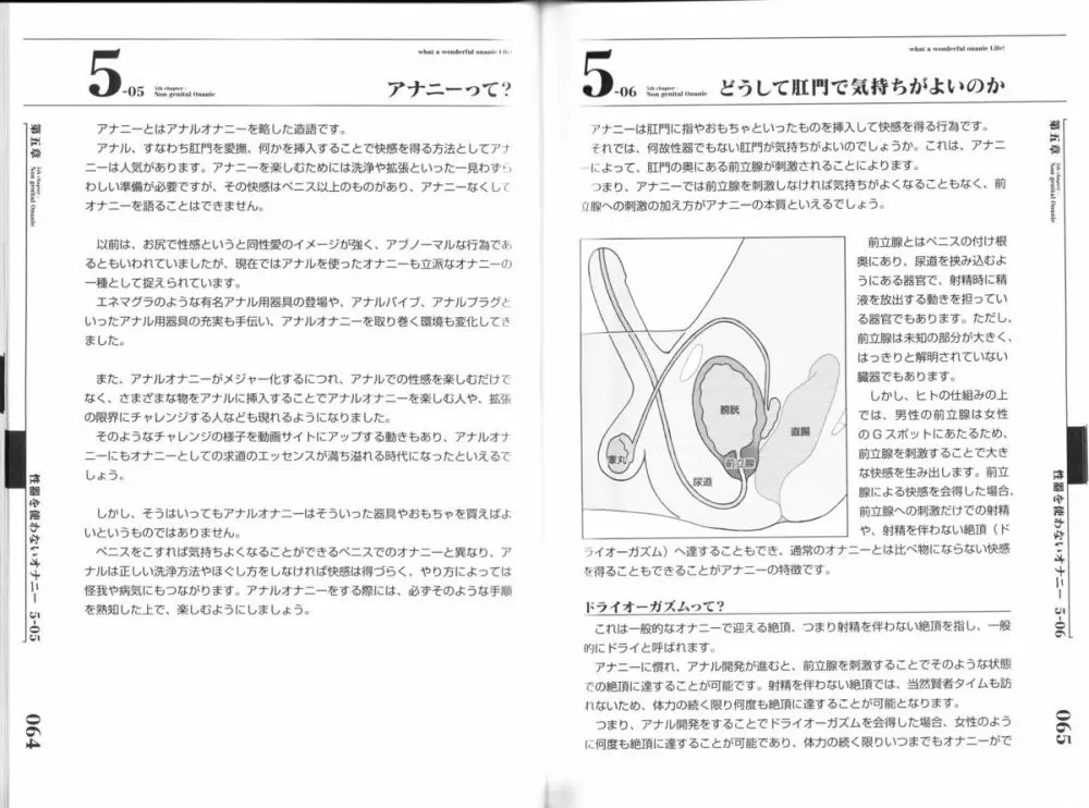 ひとりでえっち 41ページ