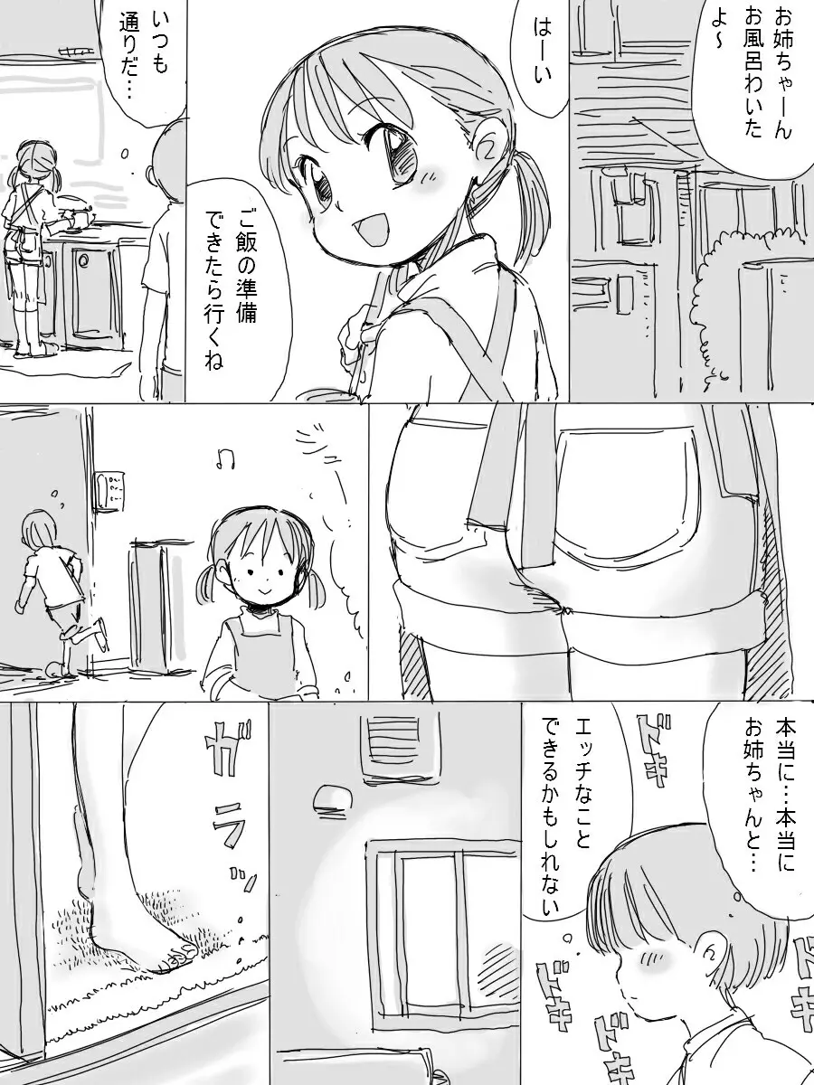 僕の優しいお姉ちゃん 10ページ