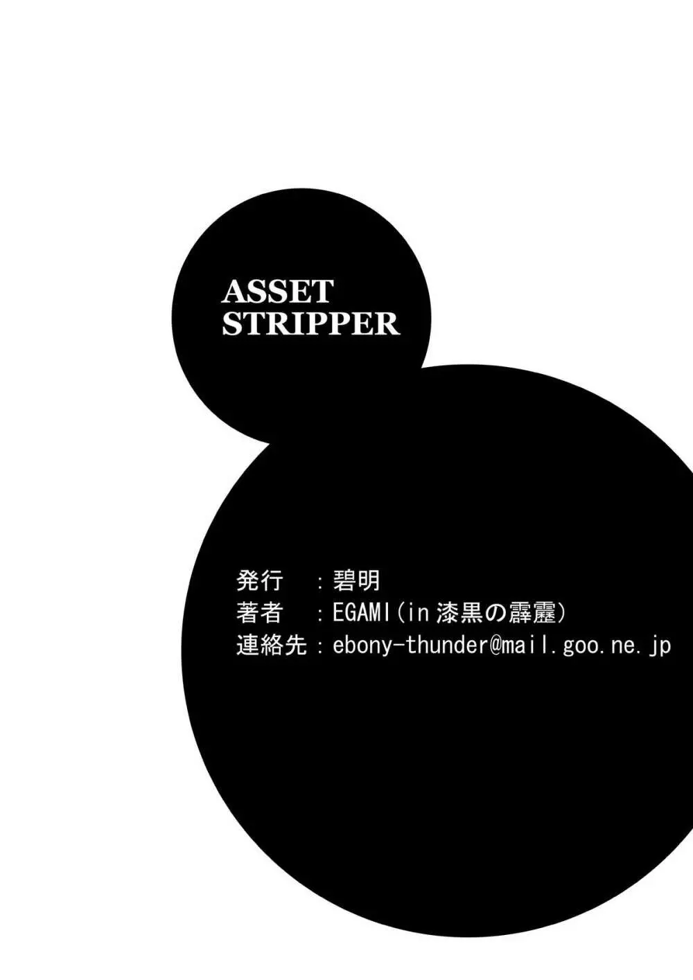 ASSET STRIPPER 17ページ