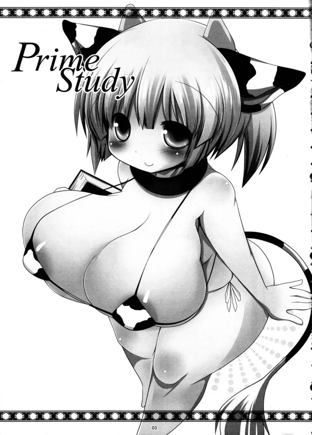 Prime Study 3ページ