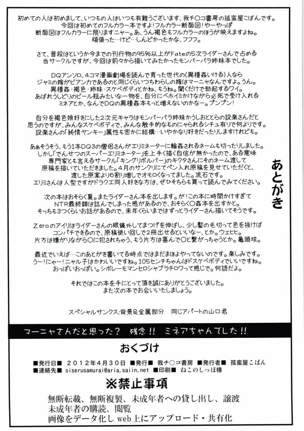 マーニャさんだと思った？残念！！ミネアちゃんでした！！ 26ページ