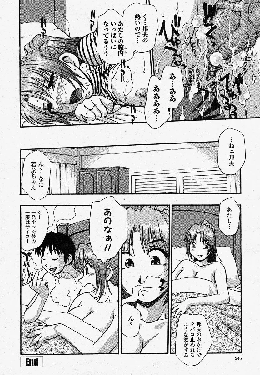 COMIC 桃姫 2004年04月号 246ページ