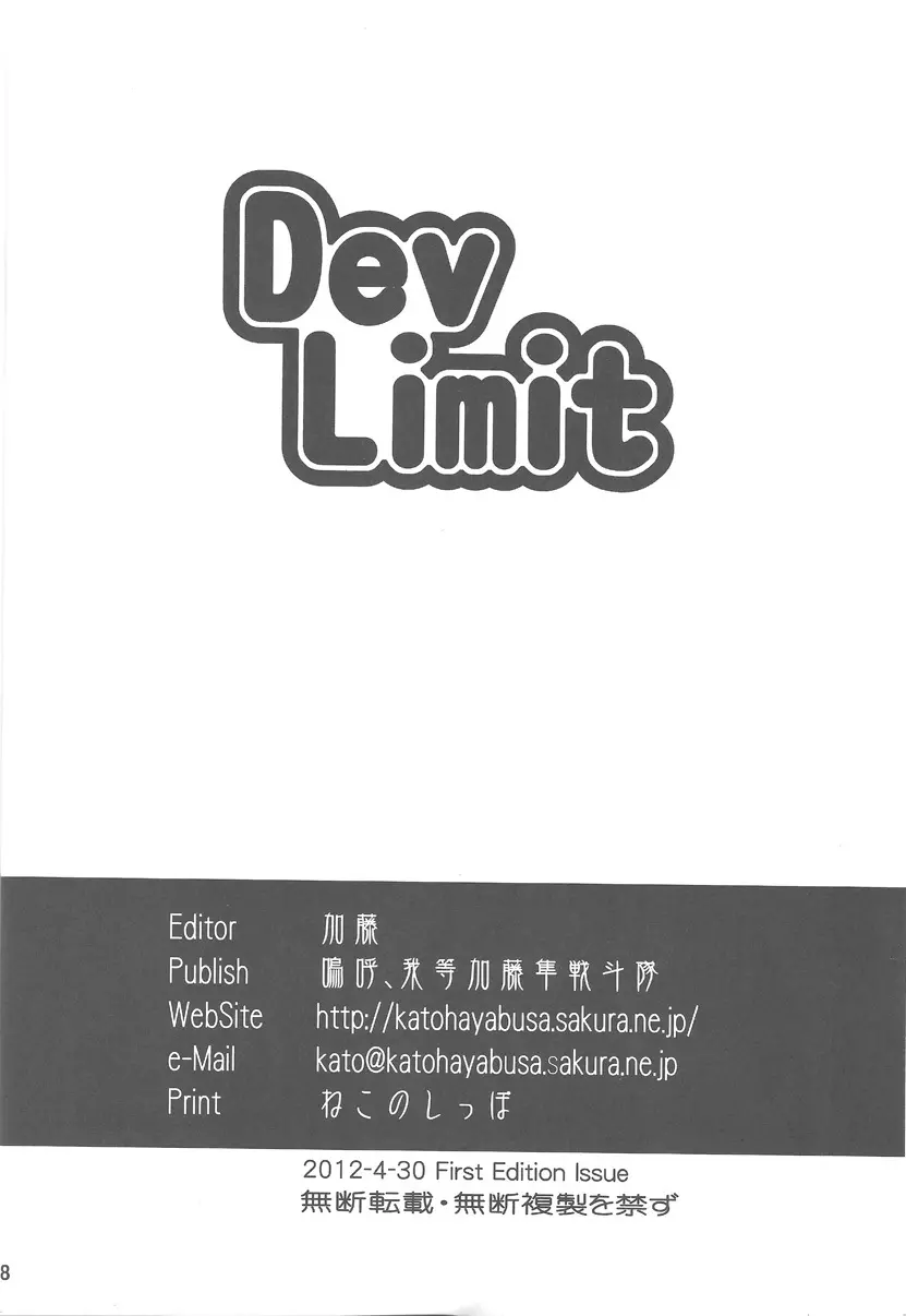 DevLimit 17ページ