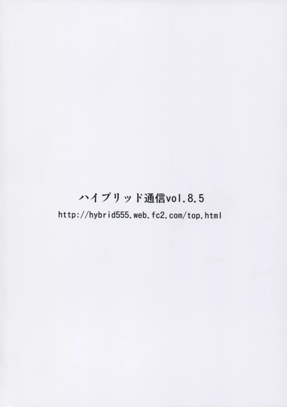 ハイブリッド通信 vol.8.5 23ページ