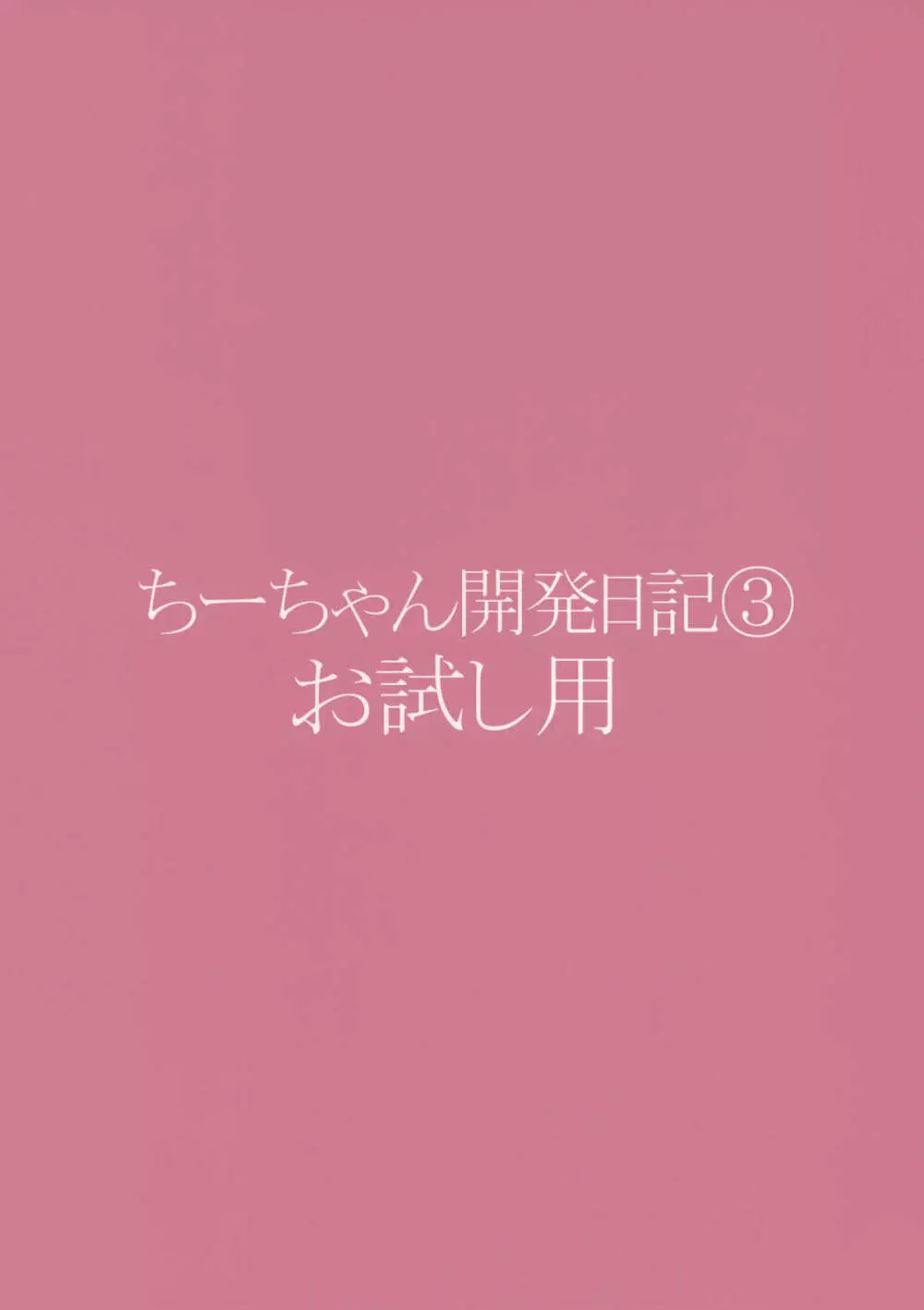 ちーちゃん開発日記3 お試し用 14ページ