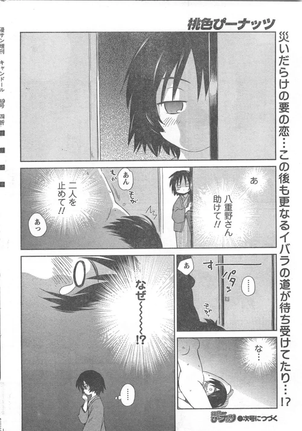 COMIC キャンドール 2008年2月号 Vol.49 218ページ