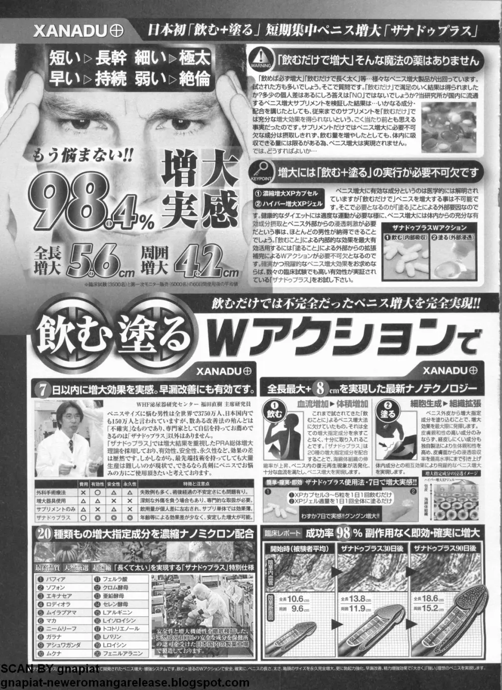 パソコンパラダイス 2009年5月号 Vol.204 246ページ