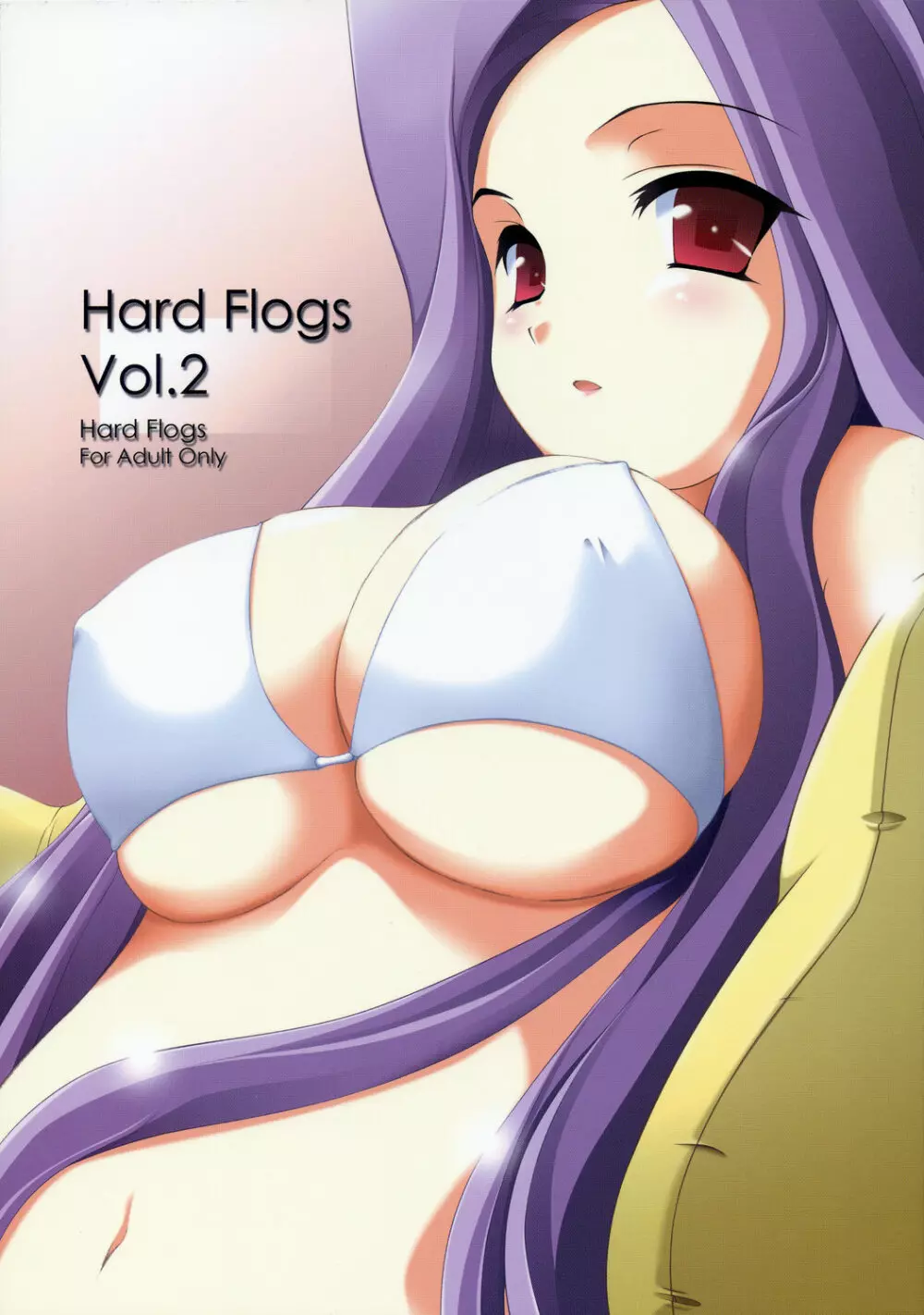 Hard Flogs vol.2