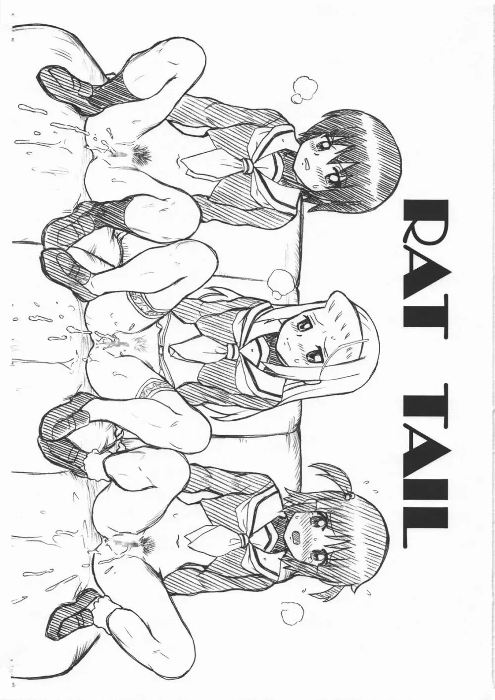 HAYATE FILE 泉・美希・理沙 画像集 10ページ