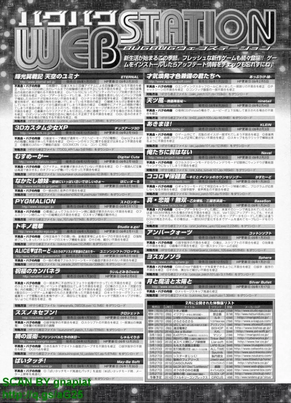 BugBug 2009年4月号 VOL.176 255ページ