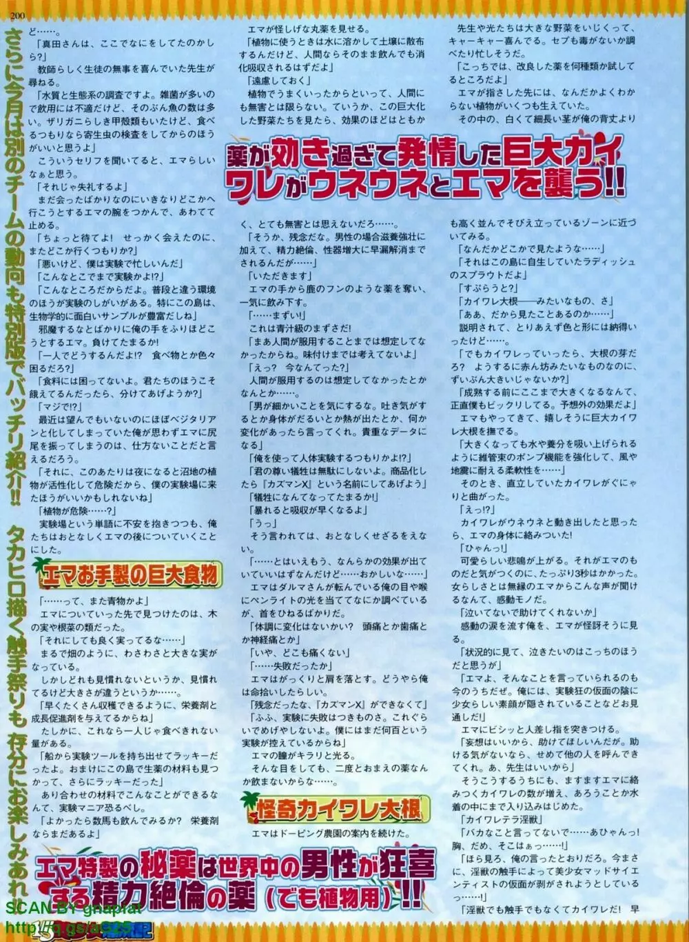 BugBug 2008年11月号 VOL.171 198ページ