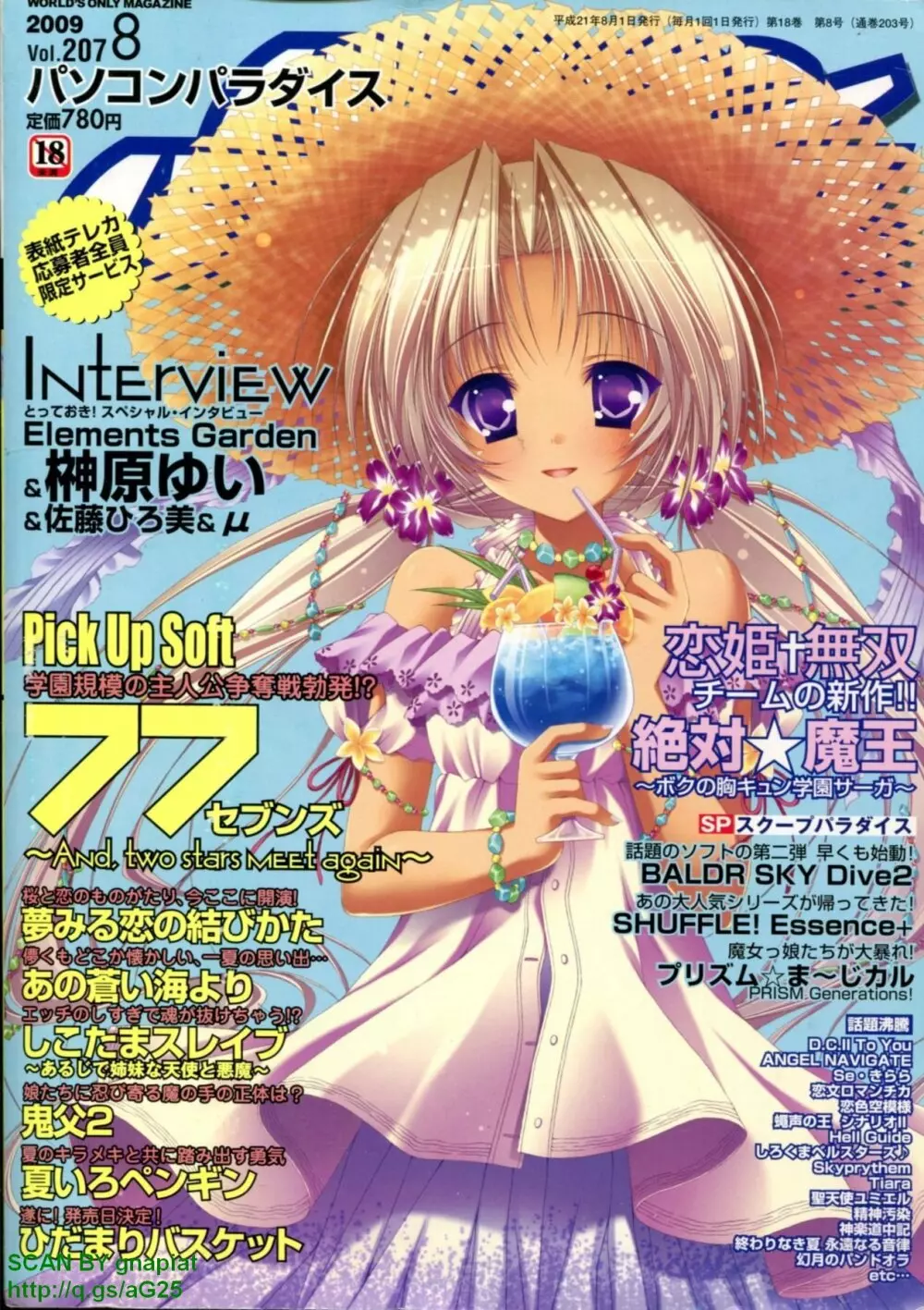 パソコンパラダイス 2009年8月号 Vol.207