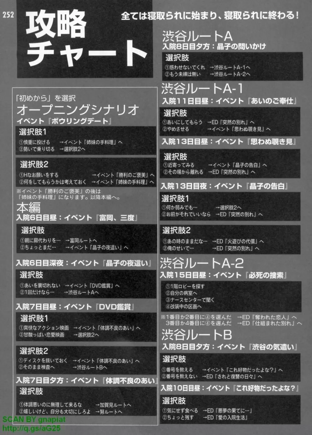 パソコンパラダイス 2009年8月号 Vol.207 252ページ