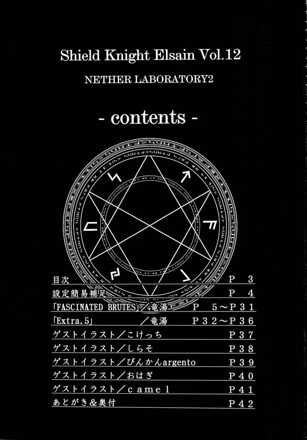 煌盾装騎エルセイン Vol.12 NETHER LABORATORY 2 2ページ