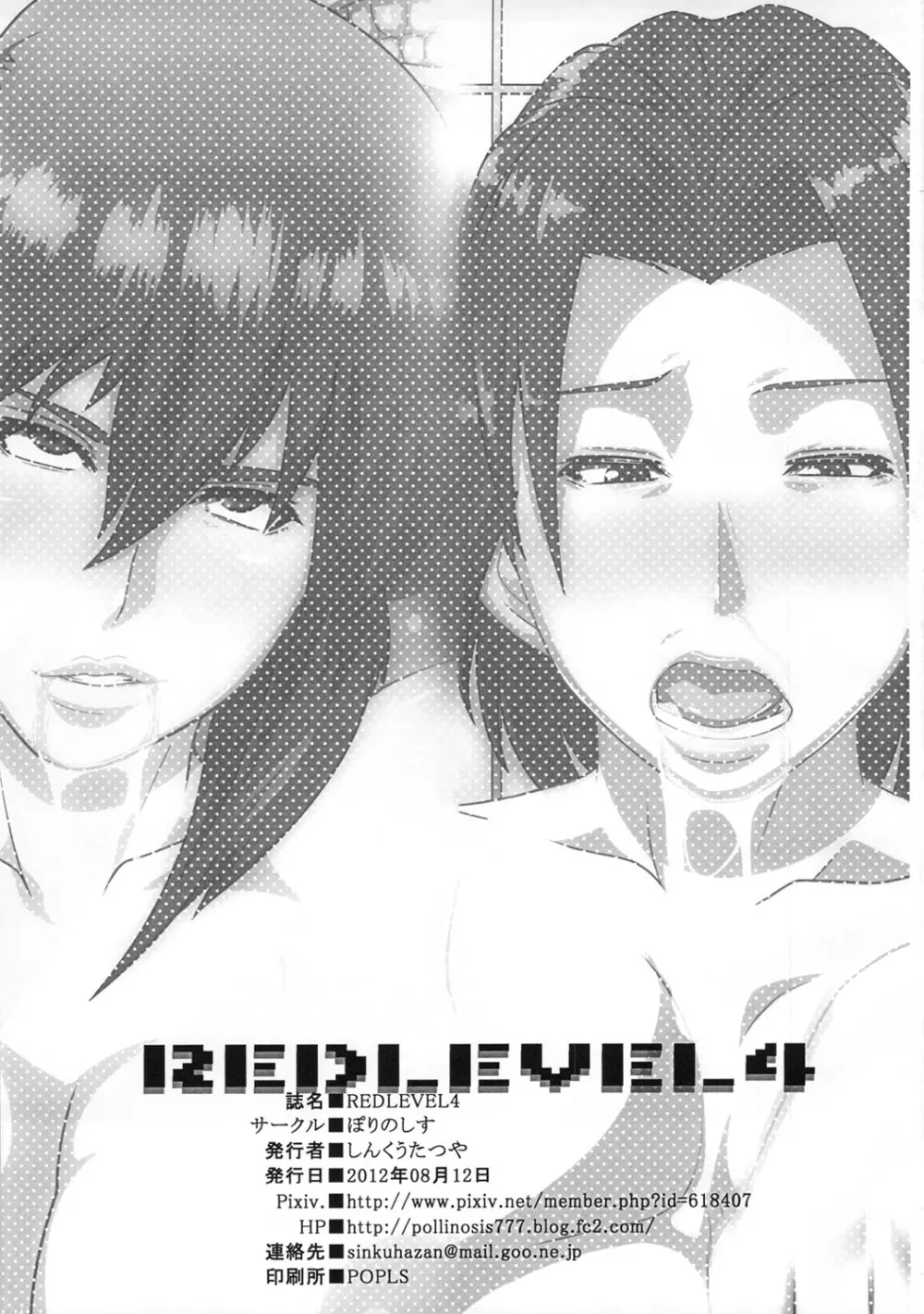 REDLEVEL4 2ページ