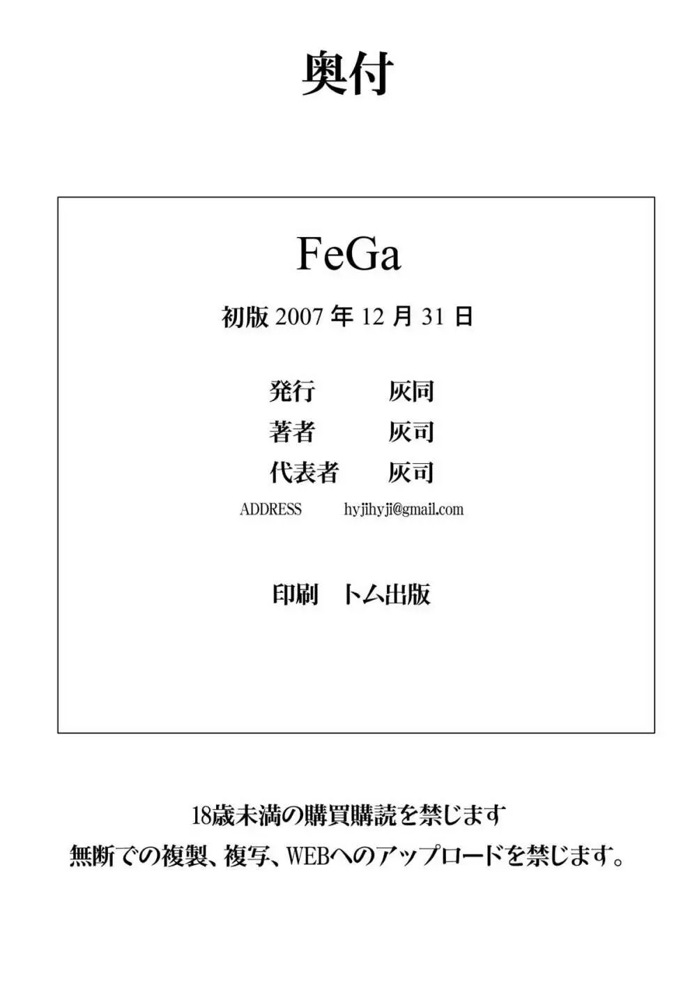 FeGa 33ページ