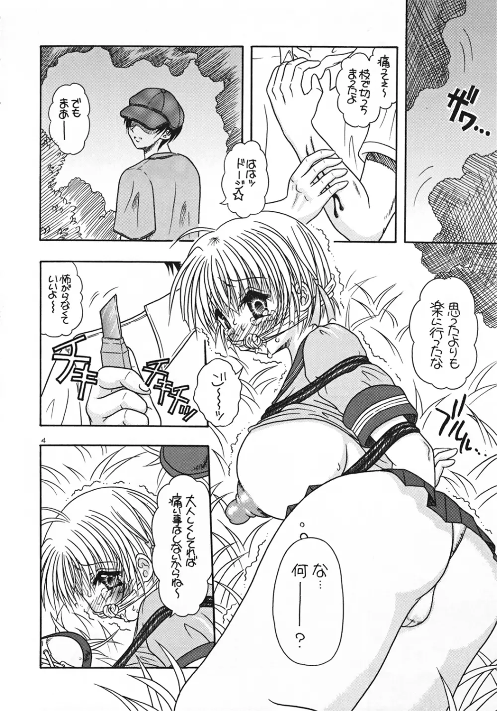 つかもと印刷 特乳パック 4ページ