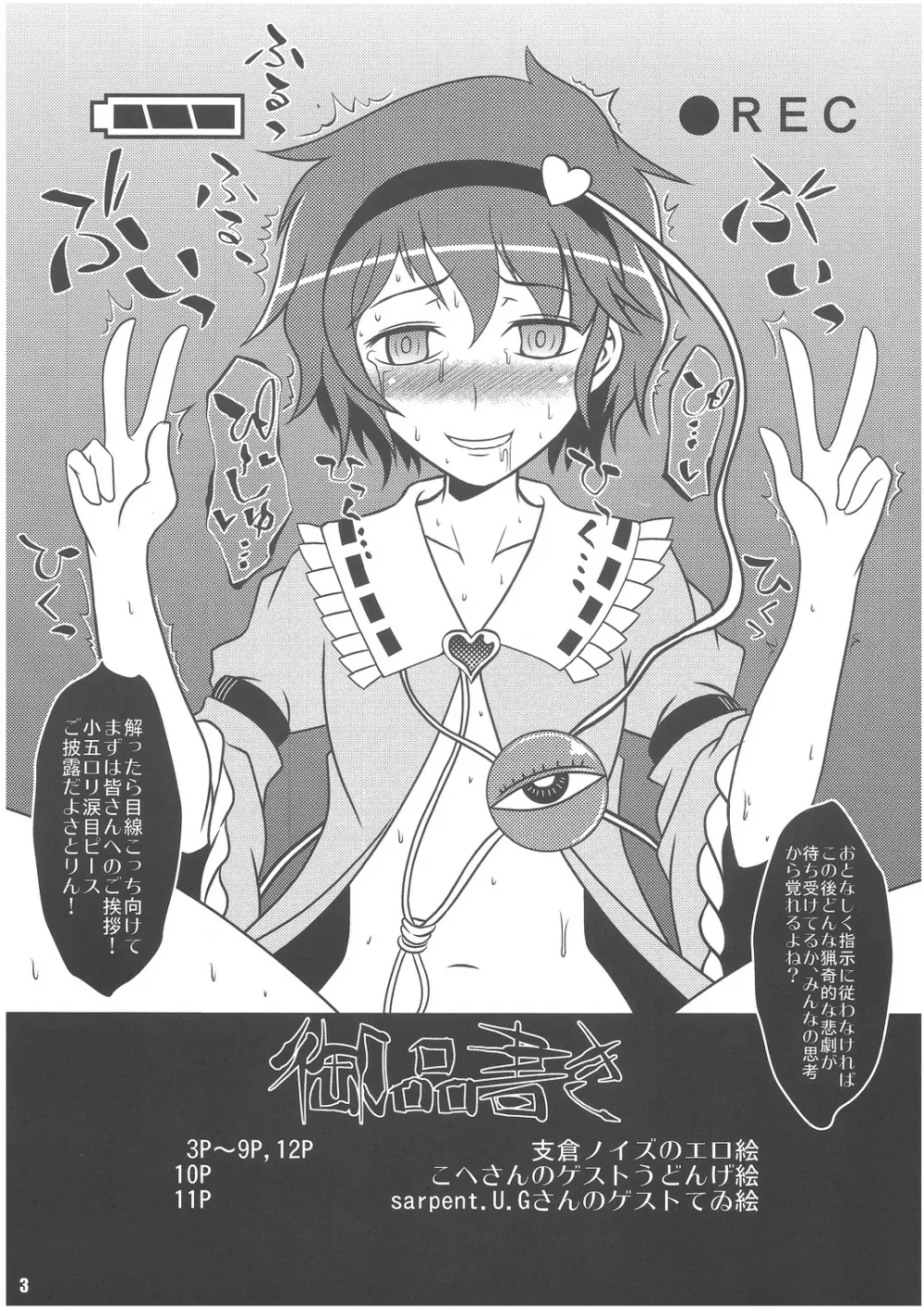 (例大祭8EX) [禍葬現実 (支倉ノイズ)] [Exhibition] (東方Project) 2ページ