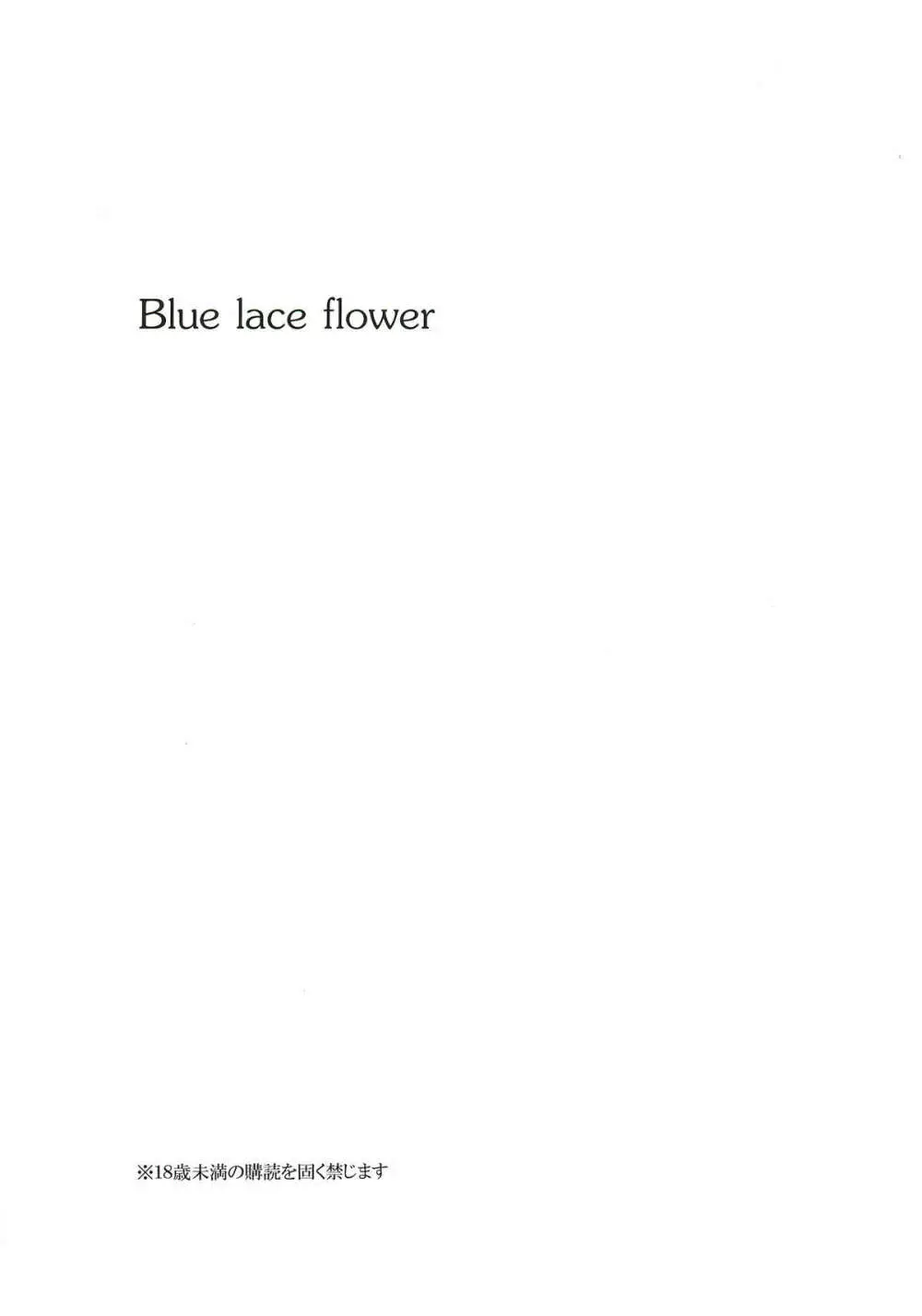 Blue lace flower 3ページ