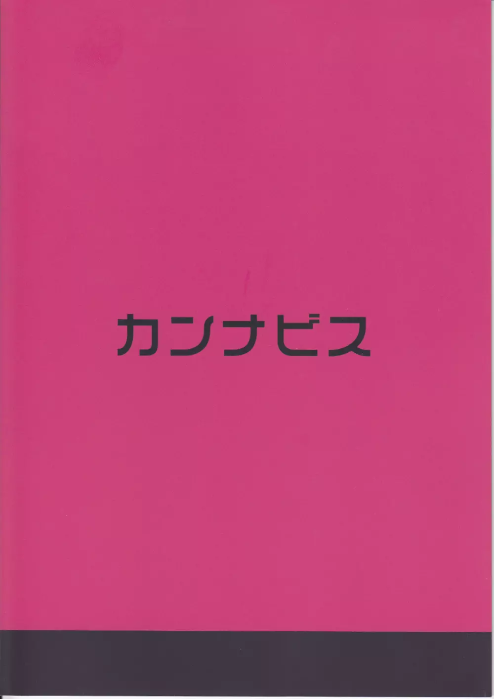 泊めハメ 18ページ