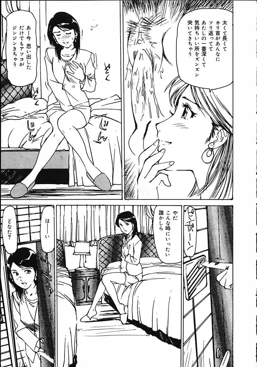 人妻猟姦日記 67ページ