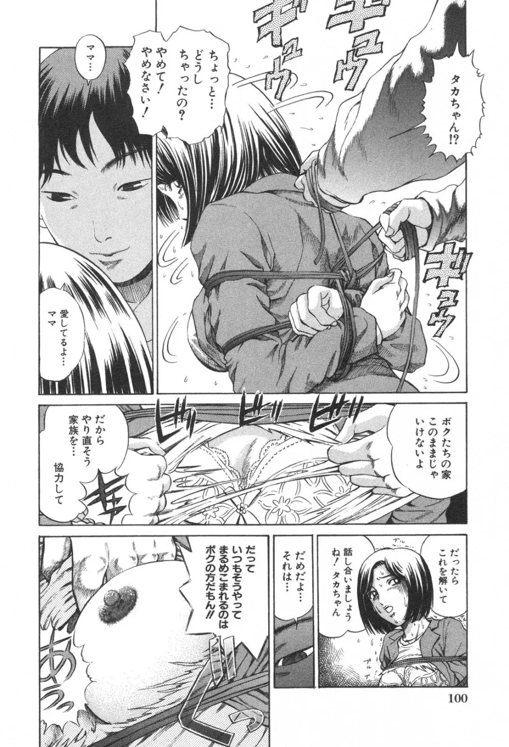 禁断姦淫 Vol. 25 母子性交 102ページ