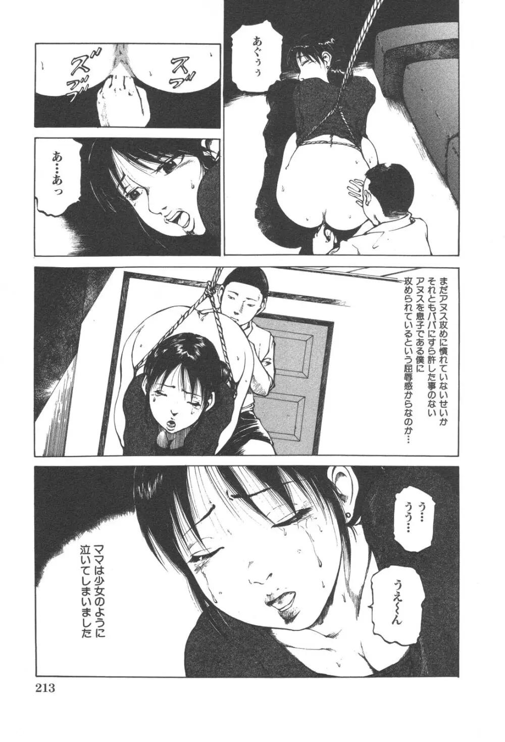 禁断姦淫 Vol. 25 母子性交 214ページ