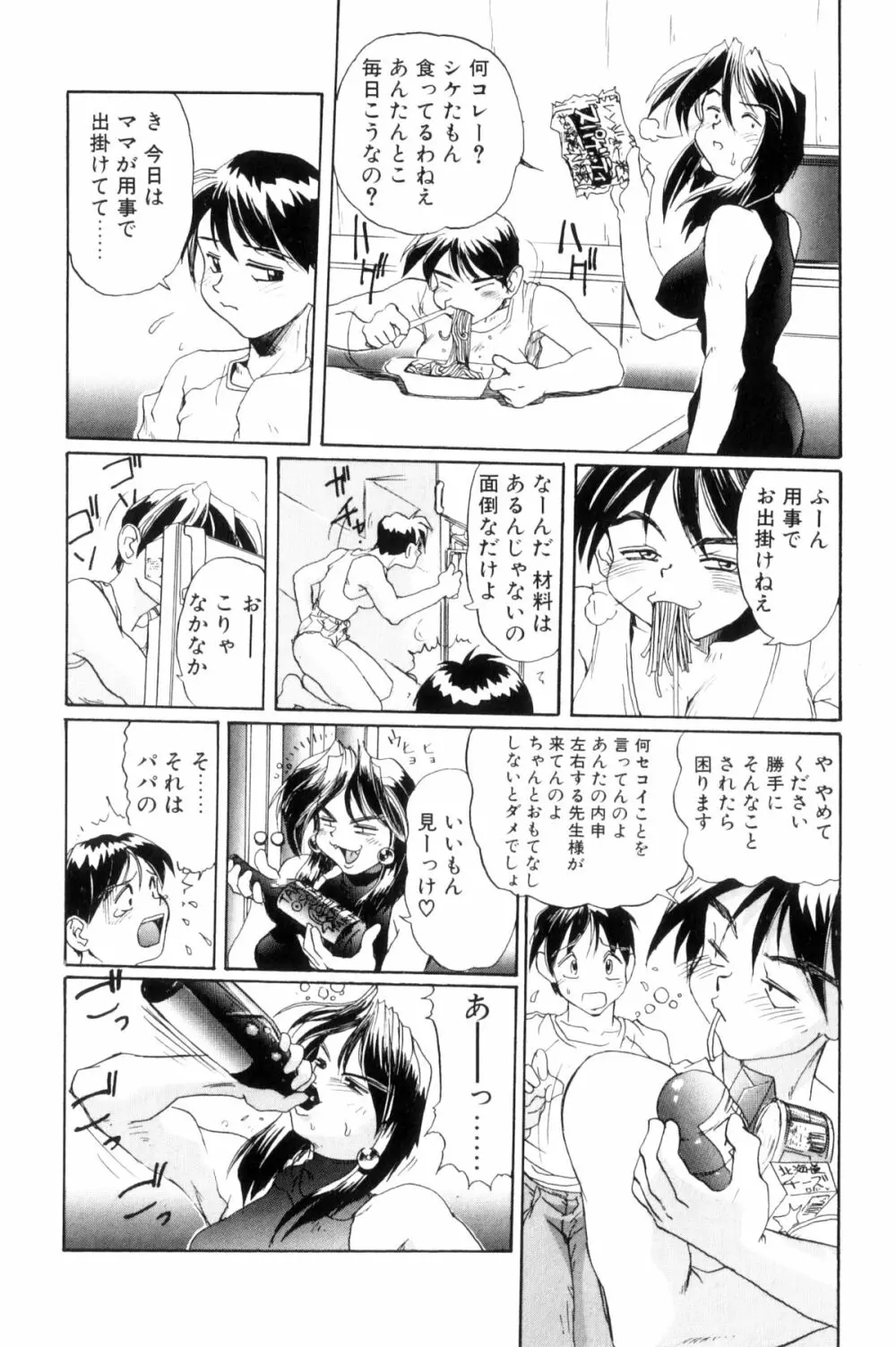 SECRET PLOT 173ページ