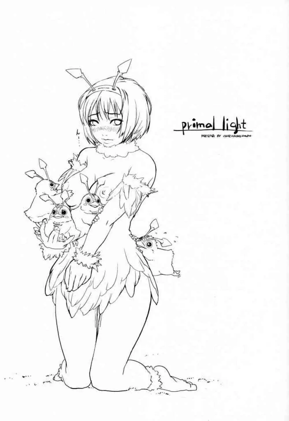 Primal Light 28ページ