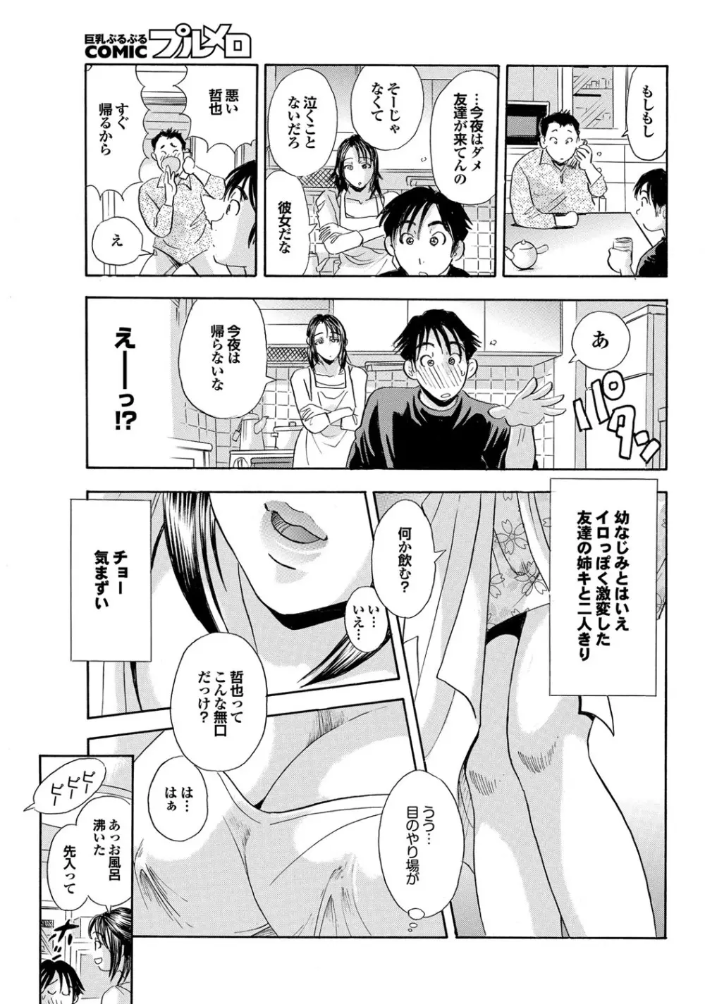 COMIC プルメロ 2010年03月号 166ページ