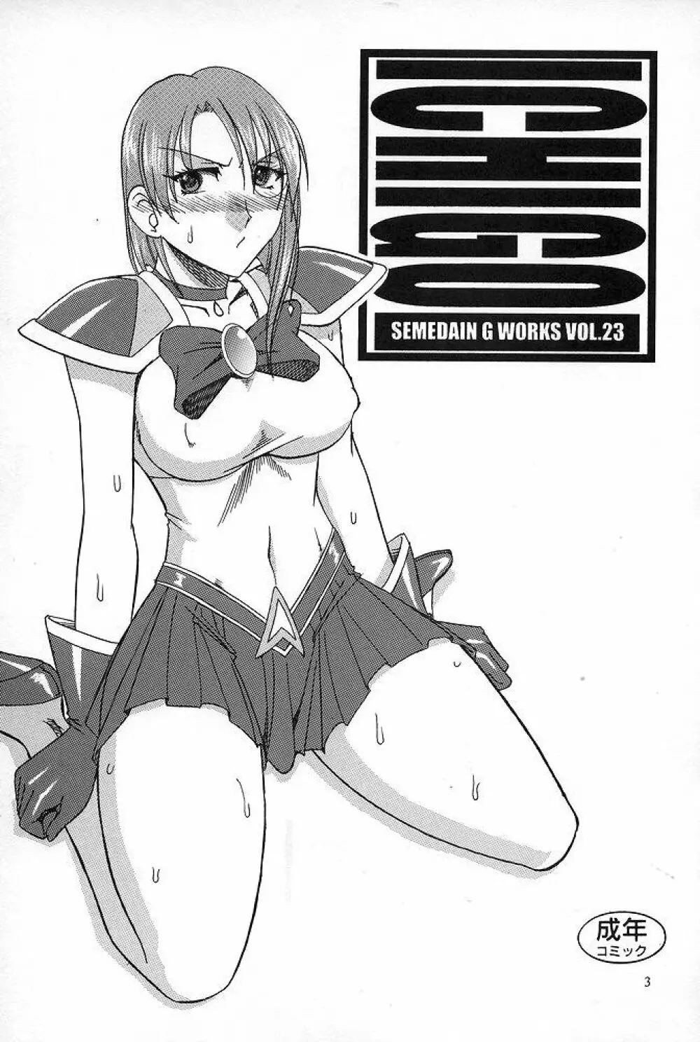 SEMEDAIN G WORKS vol.23 – ICHIGO 2ページ