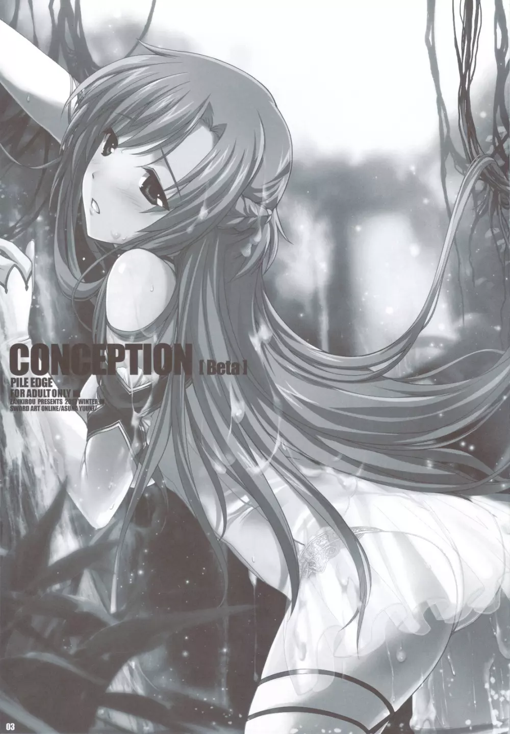 PILEDGE CONCEPTION 2ページ