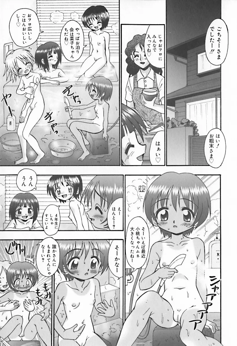 ひな缶10 45ページ