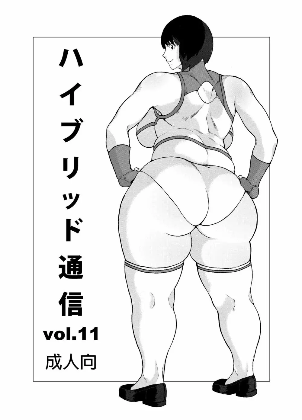 ハイブリッド通信vol.11