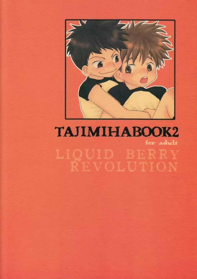 タジミハBOOK2 2ページ