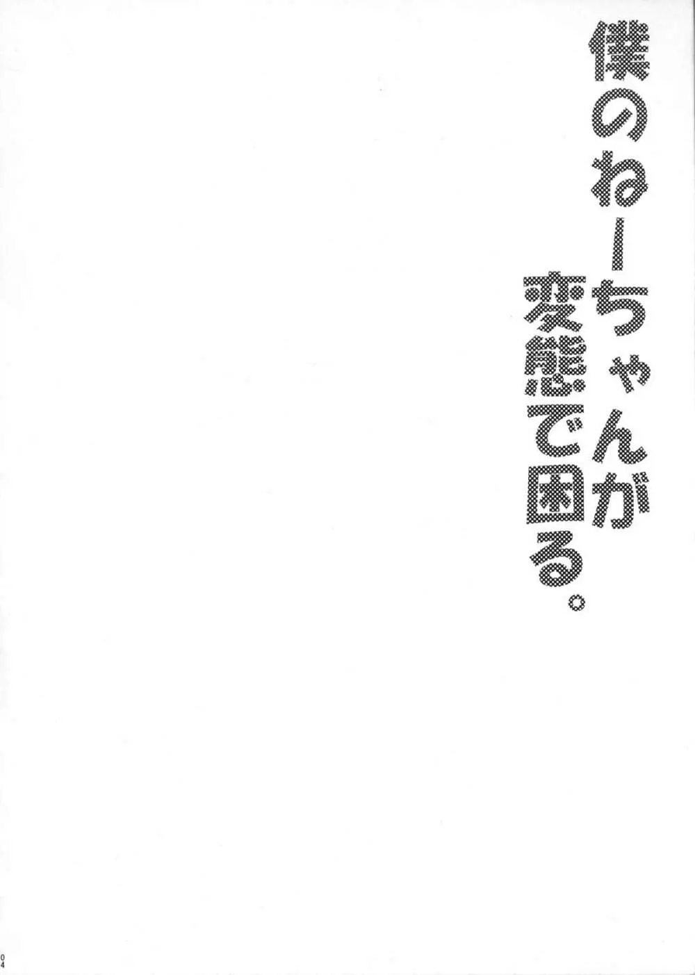 僕のねーちゃんが変態で困る。 3ページ