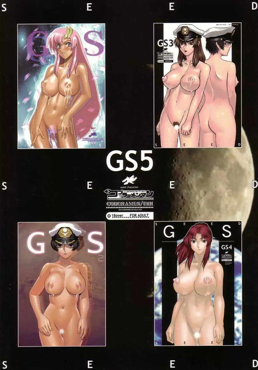 GS5 26ページ