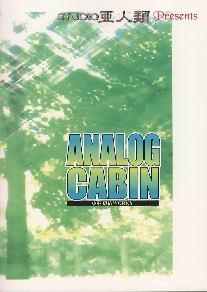 ANALOG CABIN 35ページ