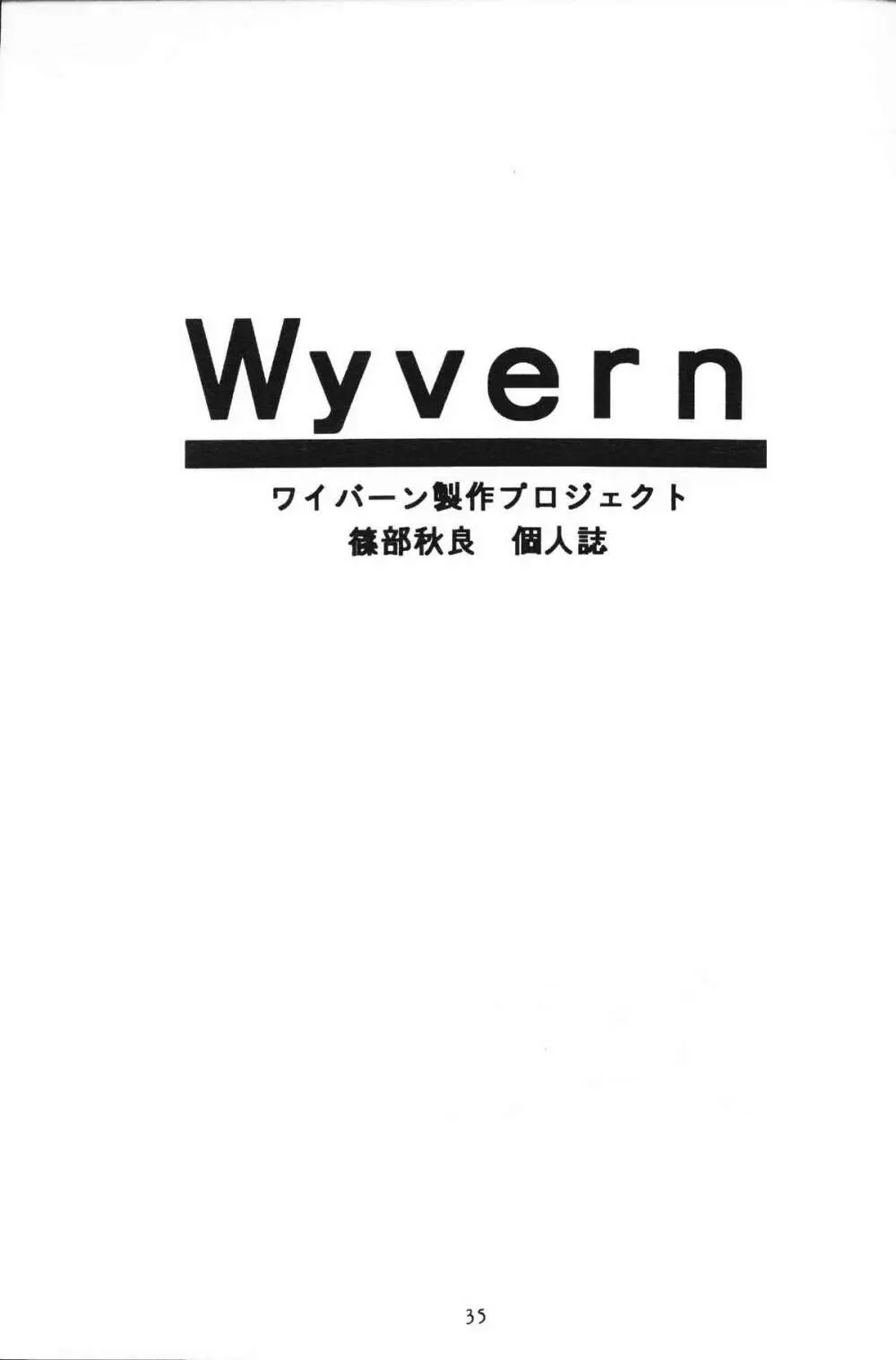 Wyvern 35ページ