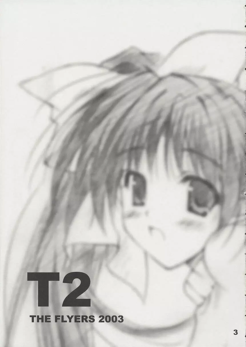 T2 2ページ